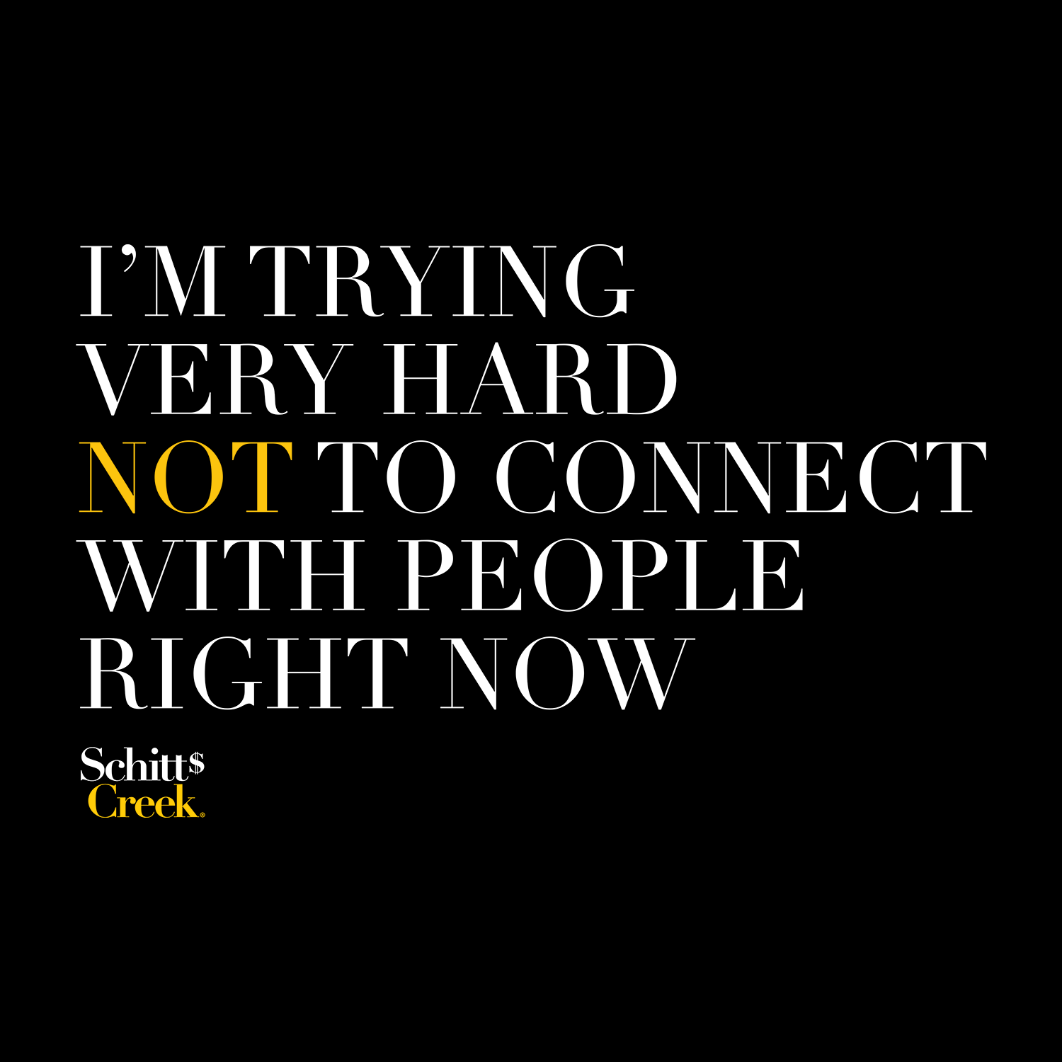 Schitt's Creek - "I'm Trying Very Hard Not to Connect right now" text