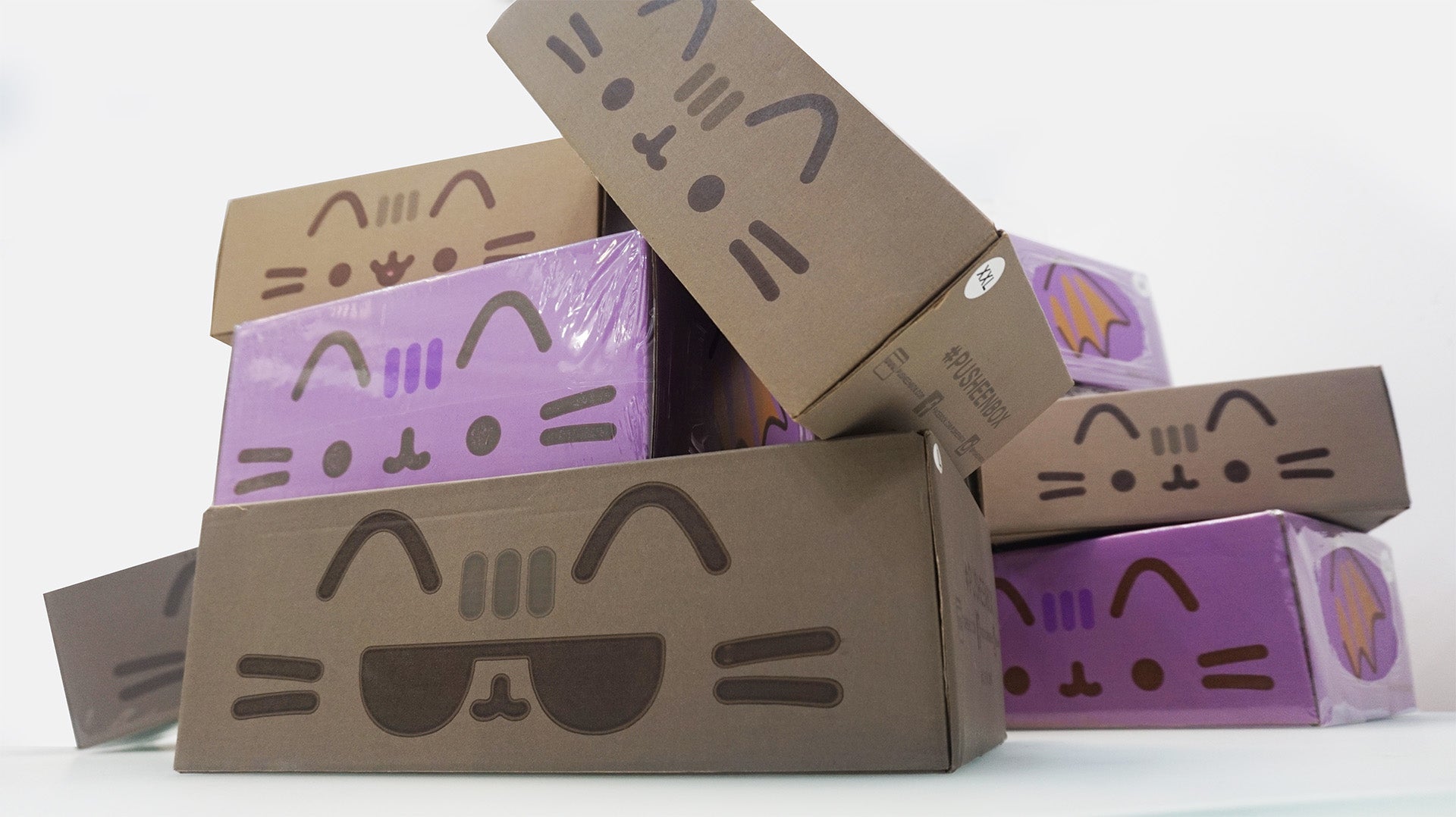 culturefly pusheen boxes 