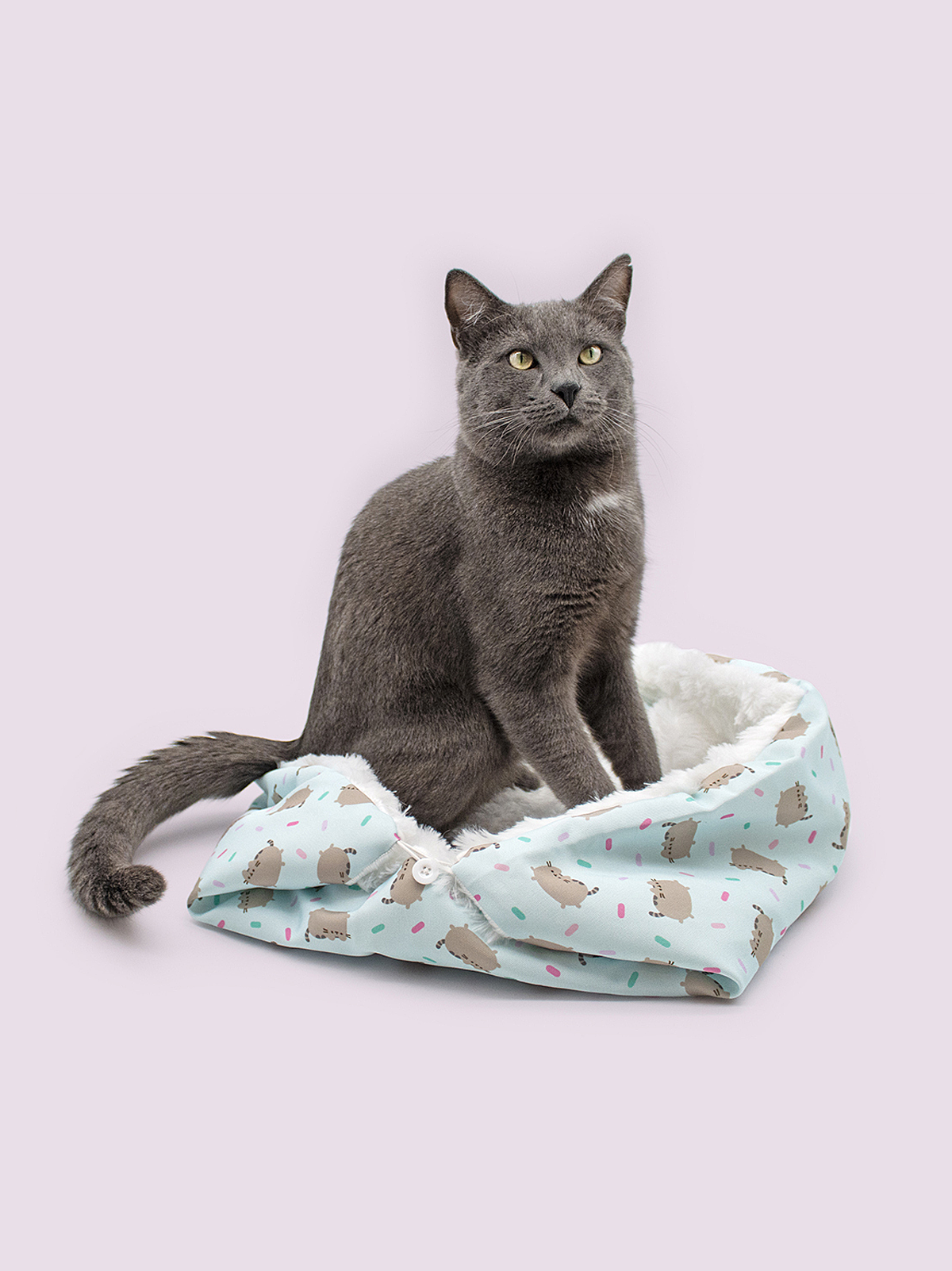 Gray cat sitting on a patterned pet bed against a light pink background