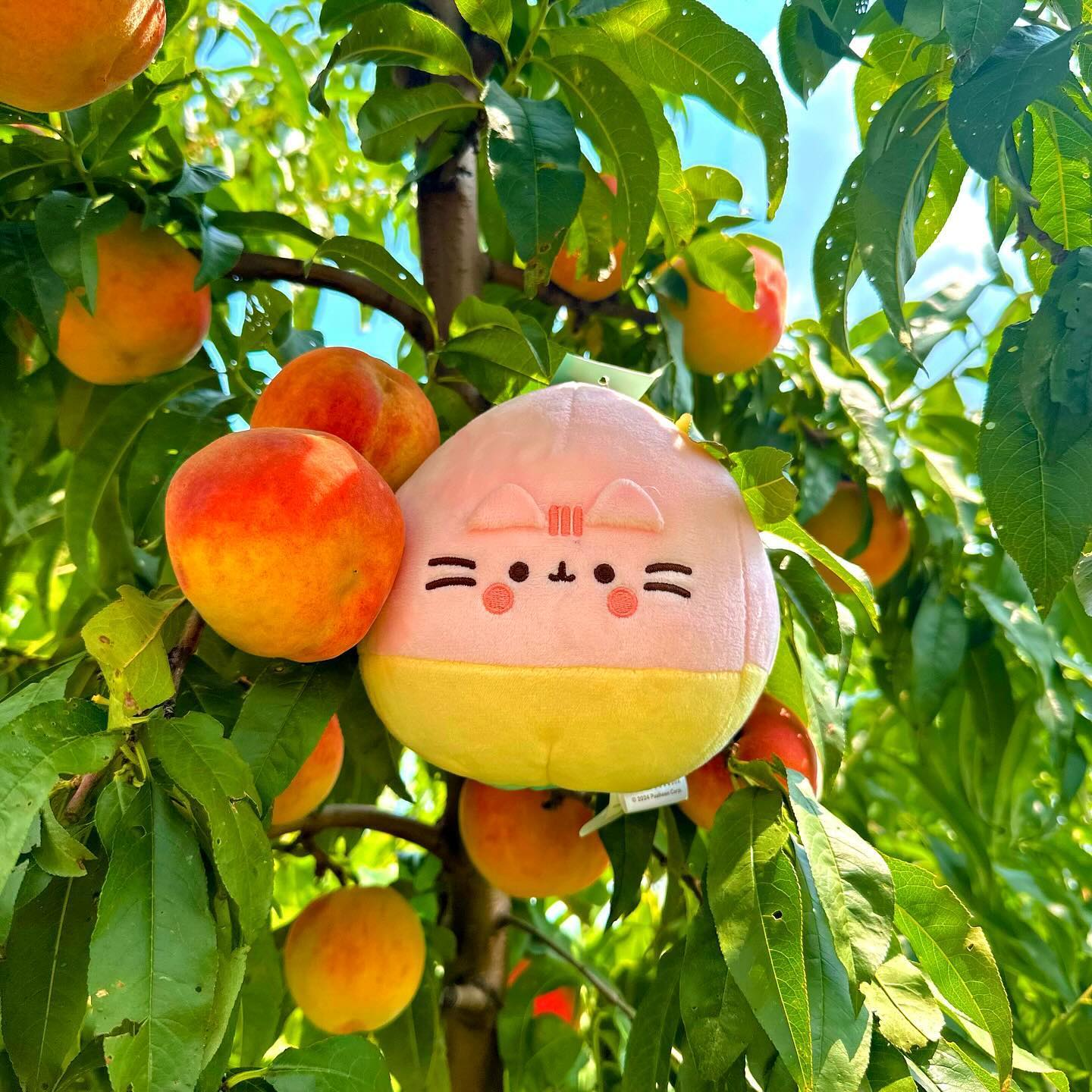 Plush toy shaped like a peach with a cat face on a tree with real peaches.