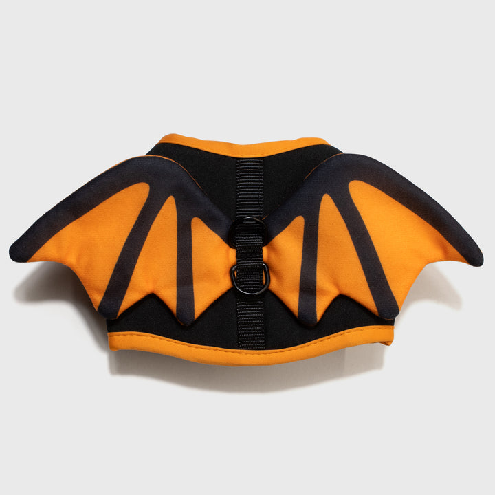 close up top of batwing harness. two batwings. has two rings for connecting leash.