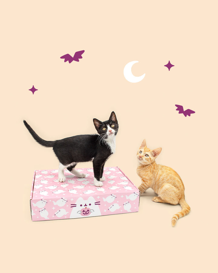 A black-and-white cat stands on a pink patterned box while an orange tabby cat sits beside it against a pale beige background with purple stars and a white crescent moon.