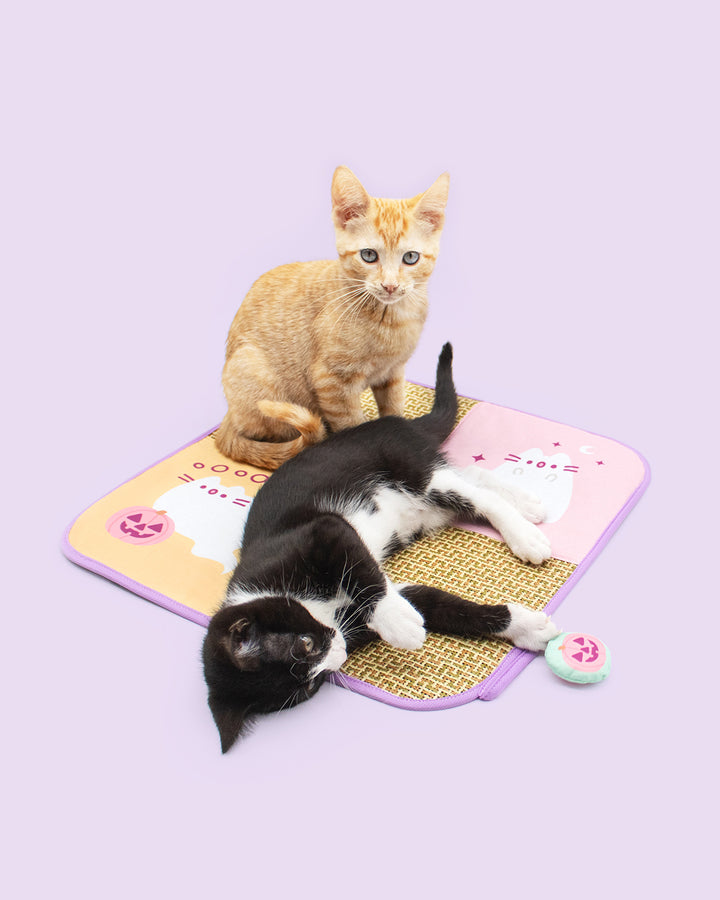 Two cats on a pastel cat mat with a small pink toy, photographed on a solid light lavender background. One cat is orange and sitting, and the other is black and white and lying on top of the mat.