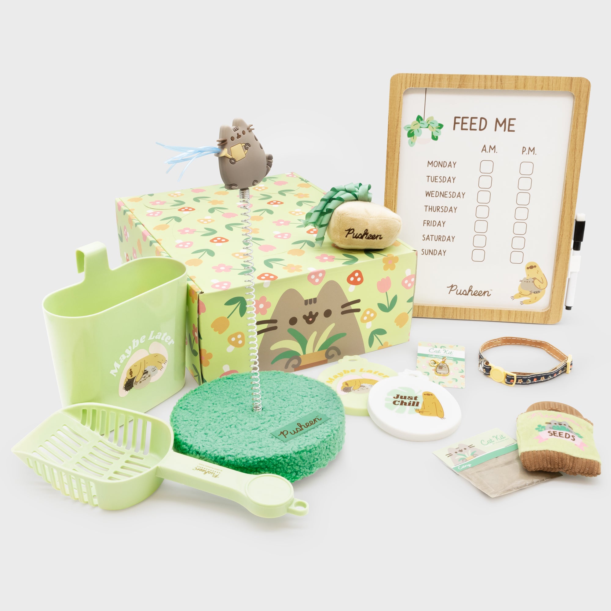 Pusheen Box The Internet's Favorite Cat!