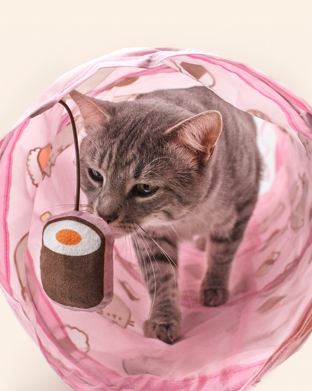 Cat inside a pink tunnel toy with cartoon designs
