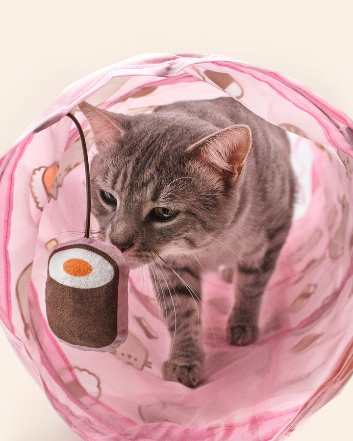 Cat inside a pink tunnel toy with cartoon designs