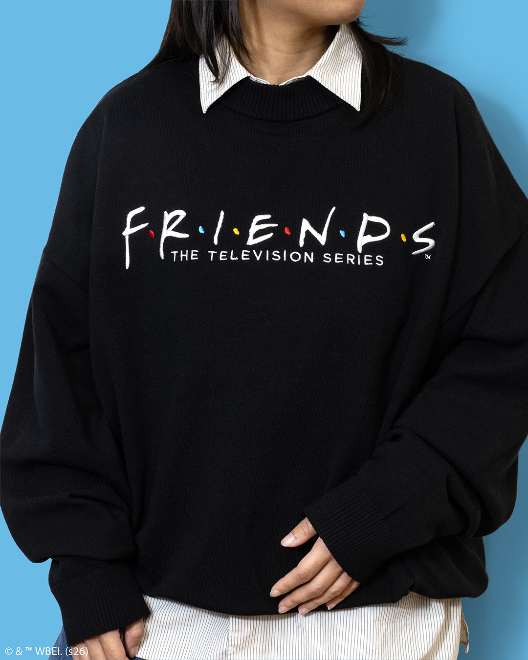 q1 2026 friends box apparel. friends the television show sweater