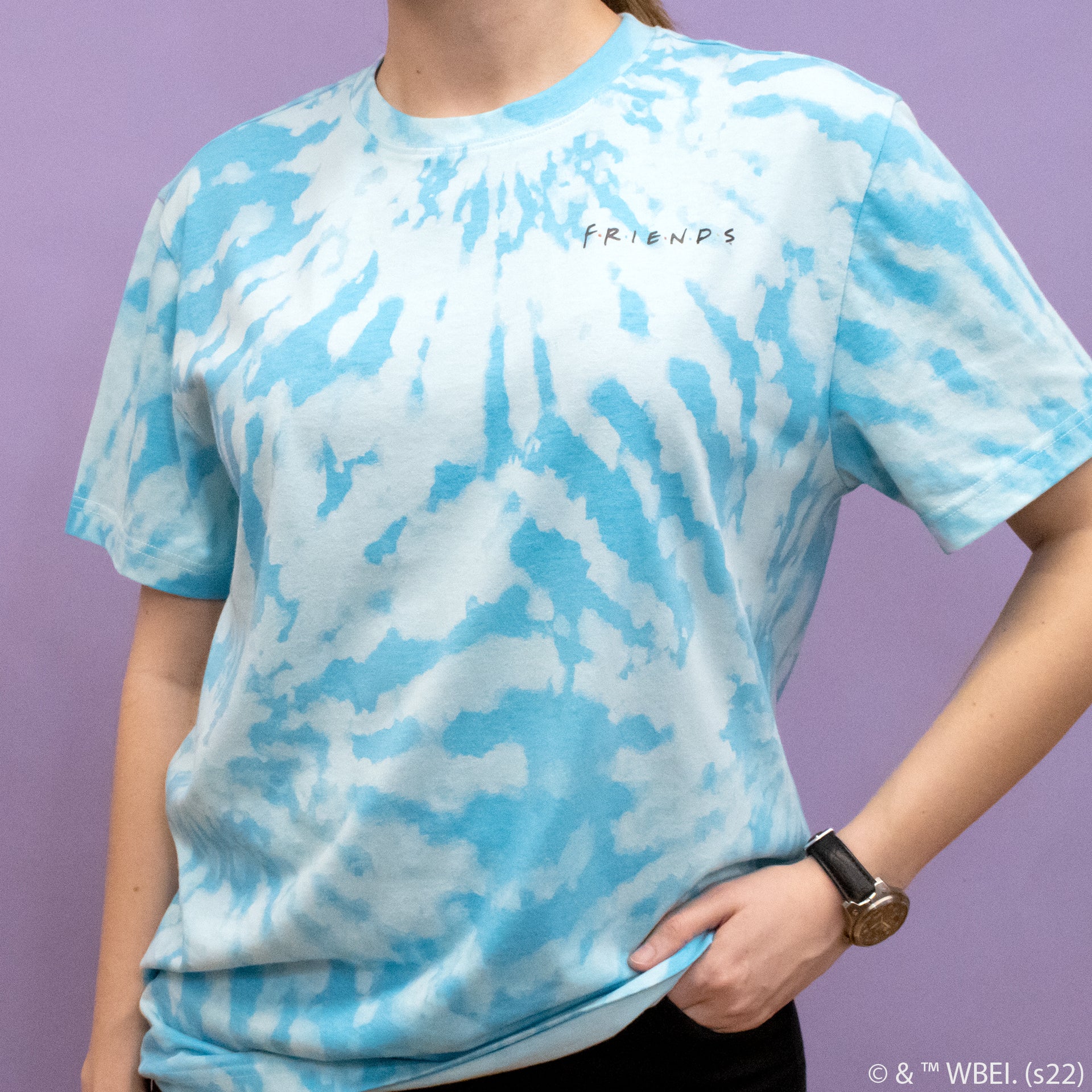 friends t-shirt. front of shirt: friends
