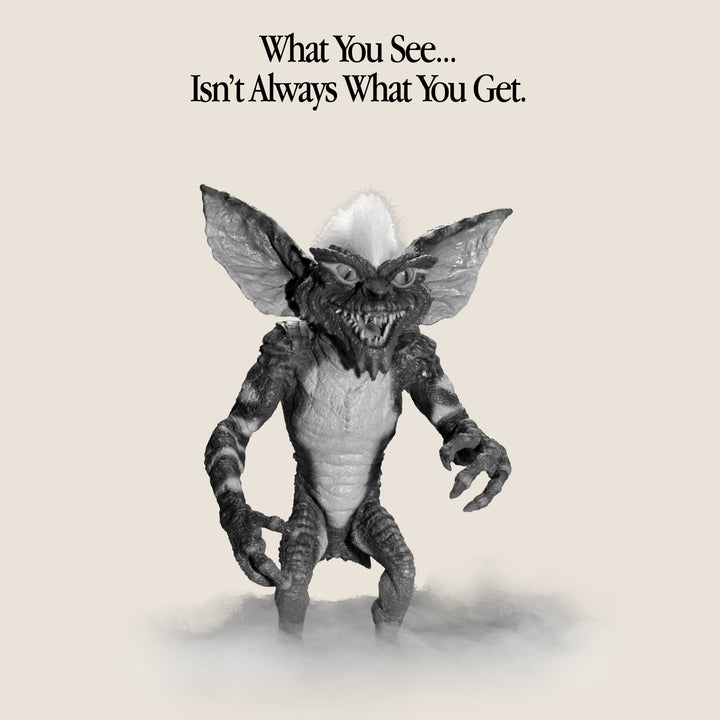 image on back of shirt: stripe standing in cloud. text: what you see...isn't always what you get.