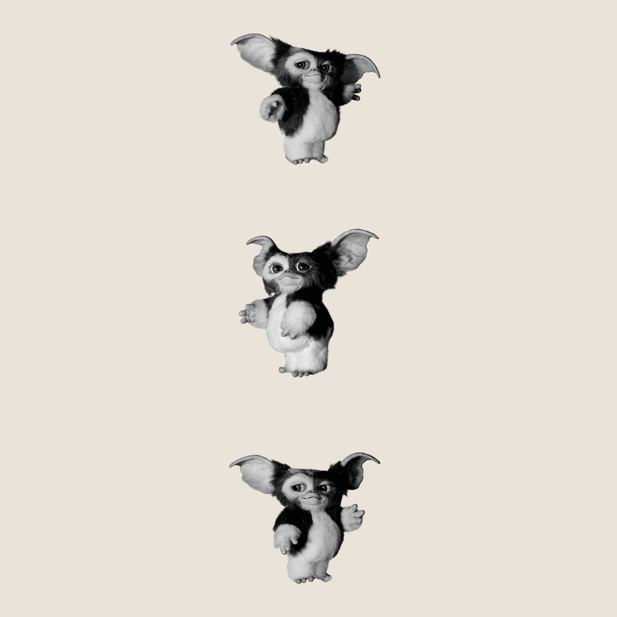 image on right sleeve: gizmo standing facing right. gizmo standing facing left. gizmo standing facing right.