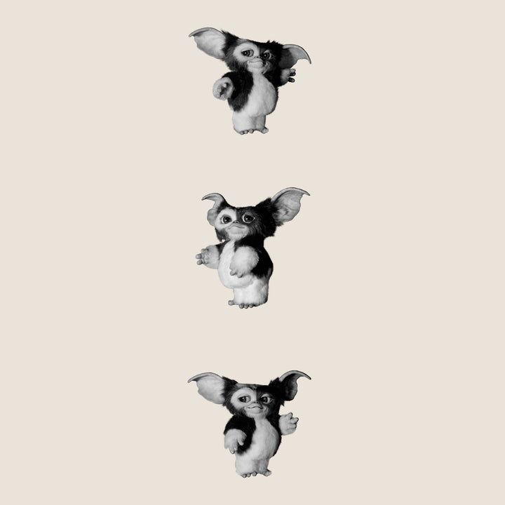image on right sleeve: gizmo standing facing right. gizmo standing facing left. gizmo standing facing right.