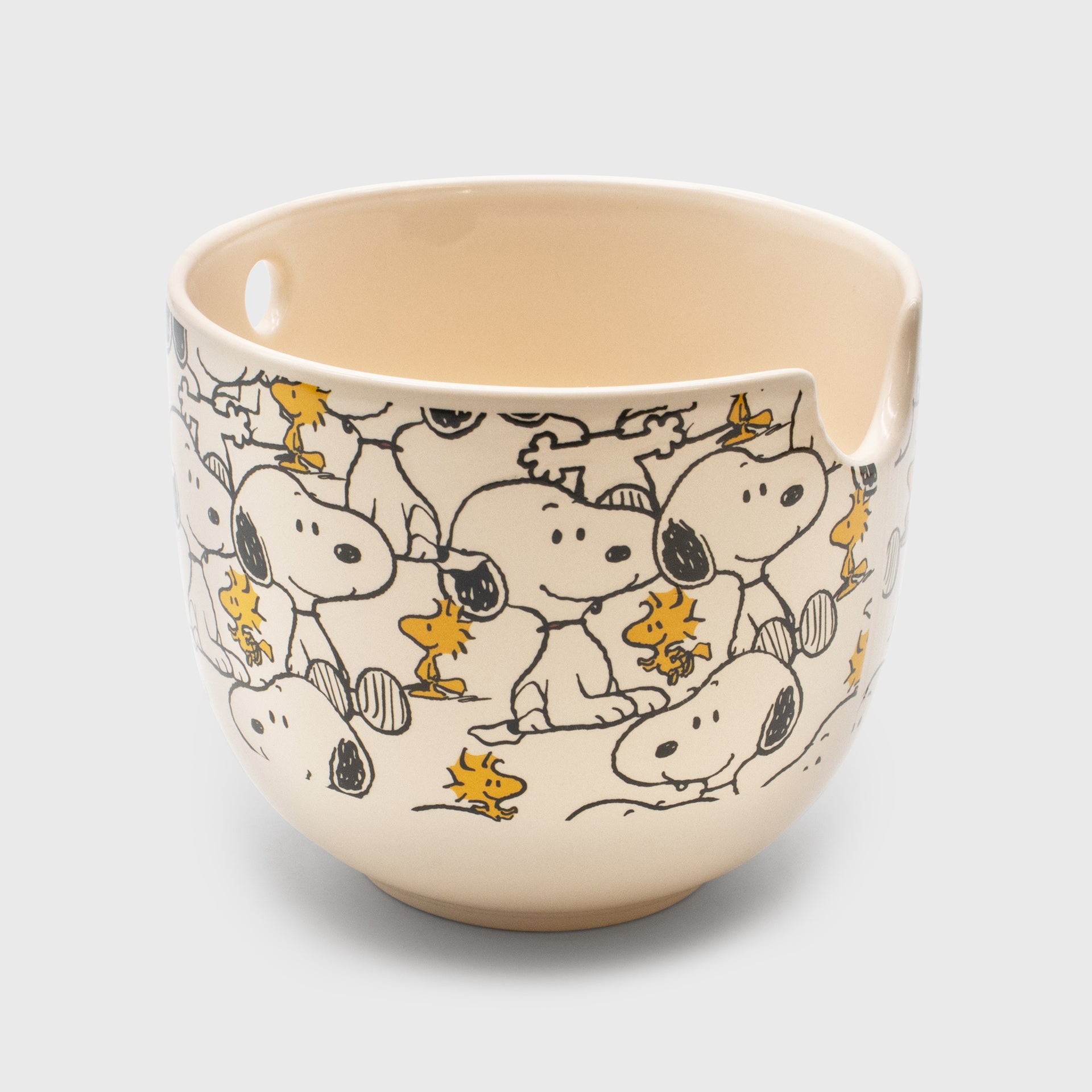 ramen bowl. image: repeating pattern of snoopy and woodstock