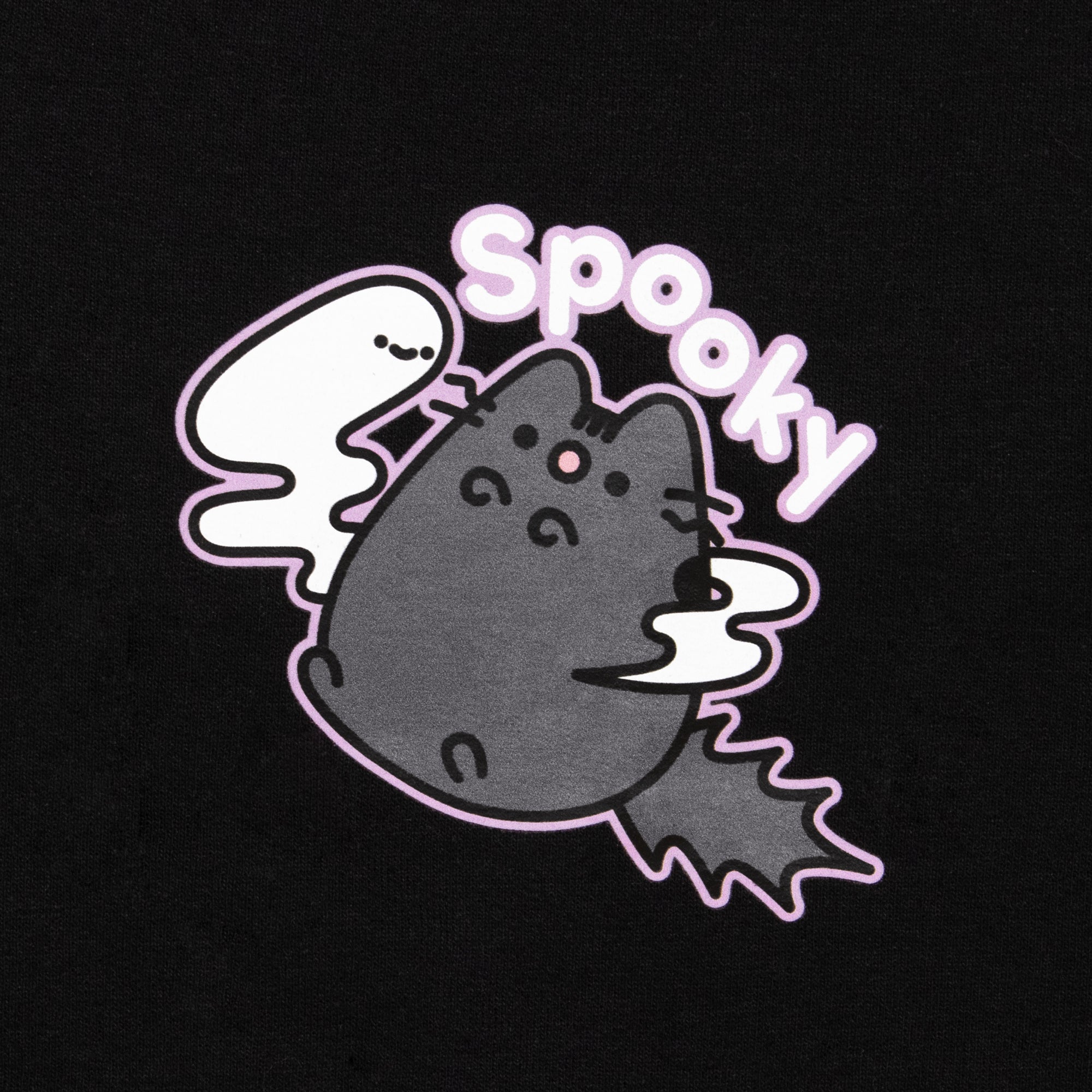 close up of image on front pocket of hoodie. image: scaredy cat pusheen with ghost. text: spooky