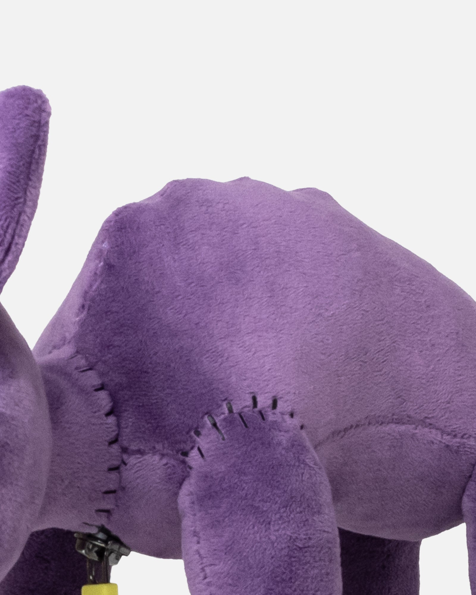 close up of monster catnap spiny back.