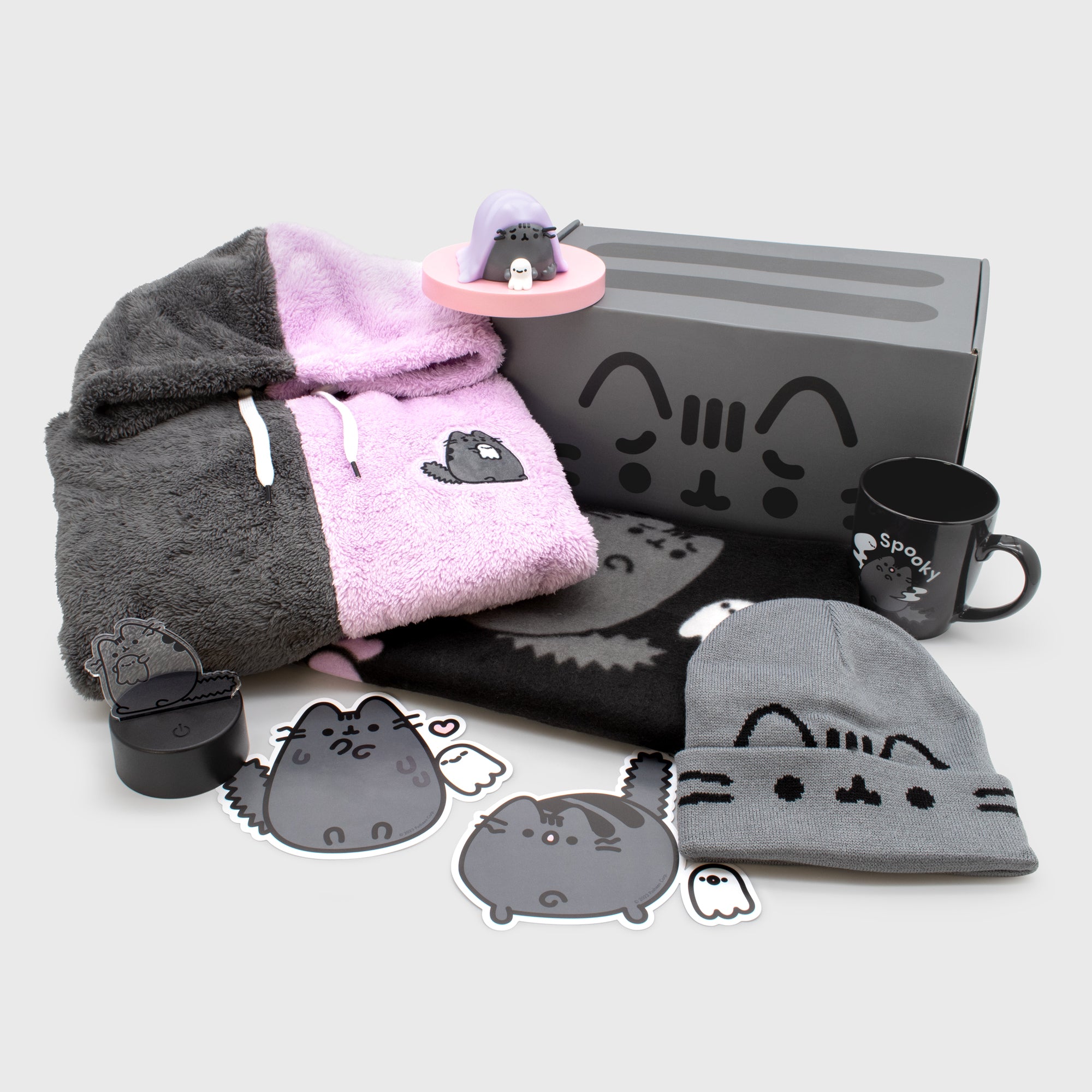 Pusheen fashion box