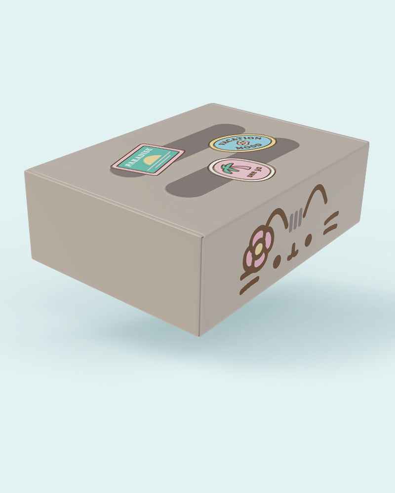 Cardboard box with cartoon cat face and stickers on a light blue background