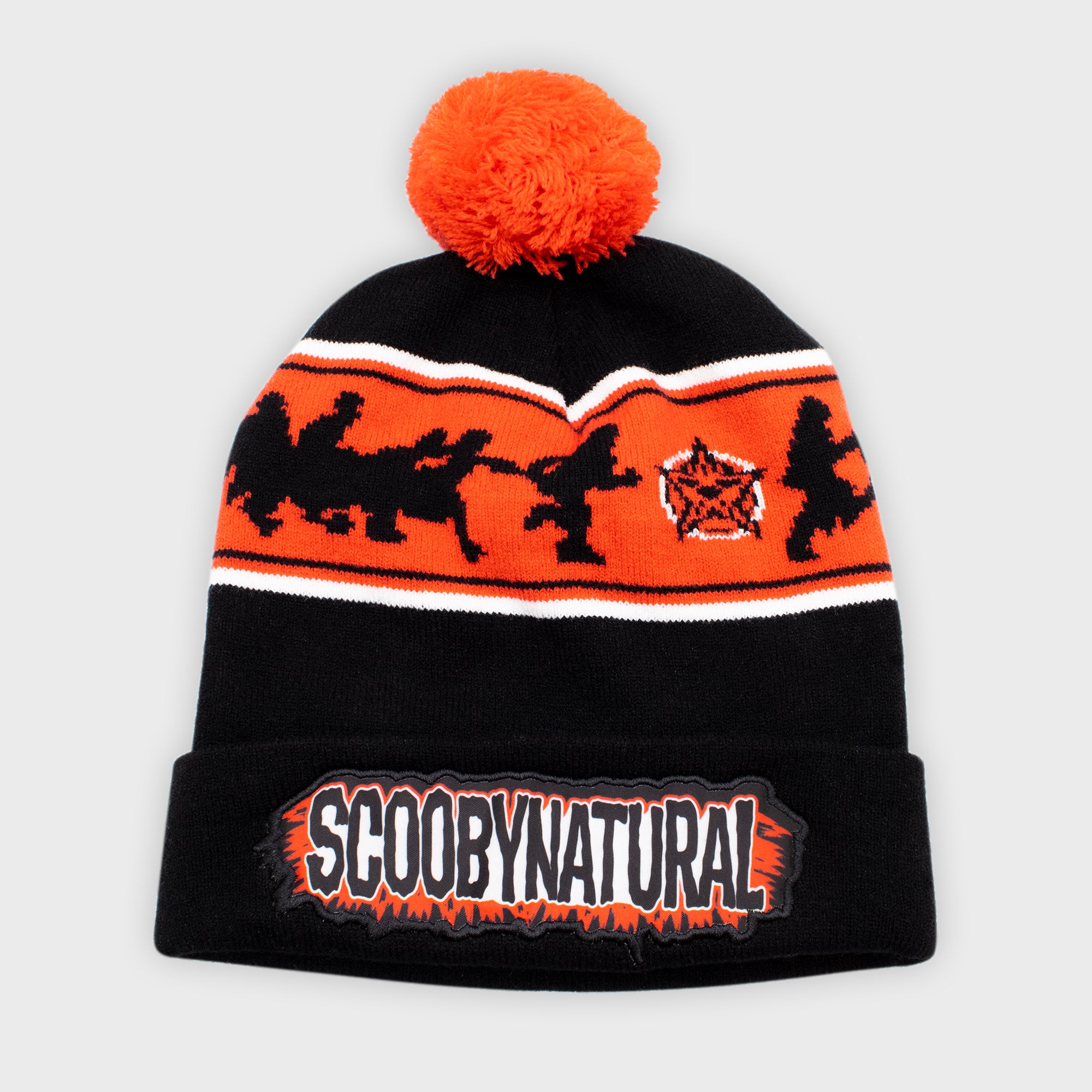 pom pom beanie