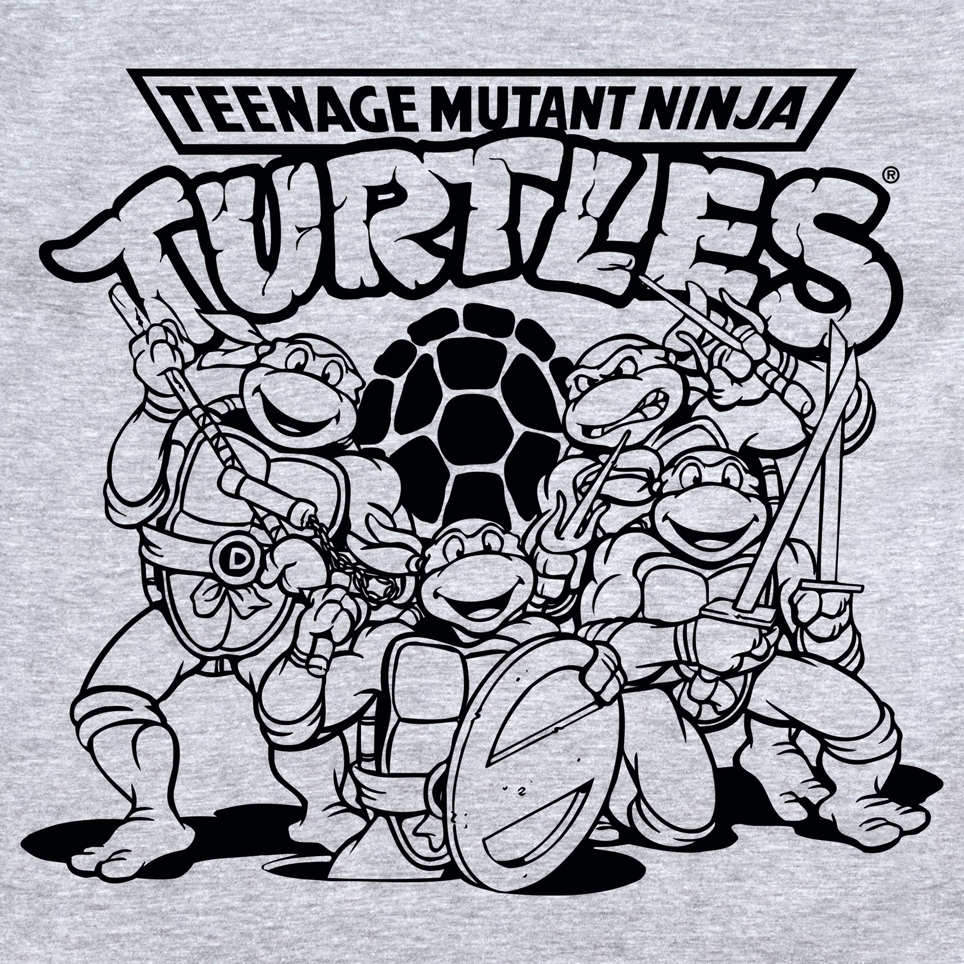 image on shirt: all 4 turtles. Leonardo, Donatello, Raphael and Michelangelo. Turtle shell behind them. text: teenage mutant ninja turtles