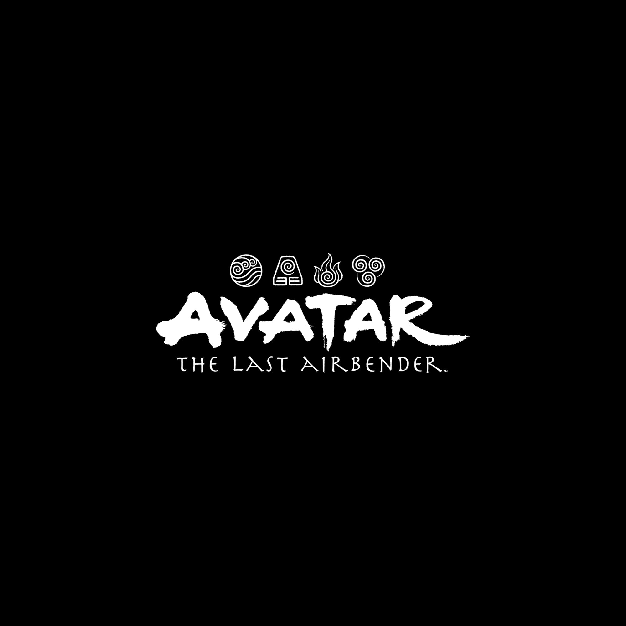 close up on image on front left pocket area of hoodie: avatar the last airbender logo with water, earth, fire, and air nation symbols.
