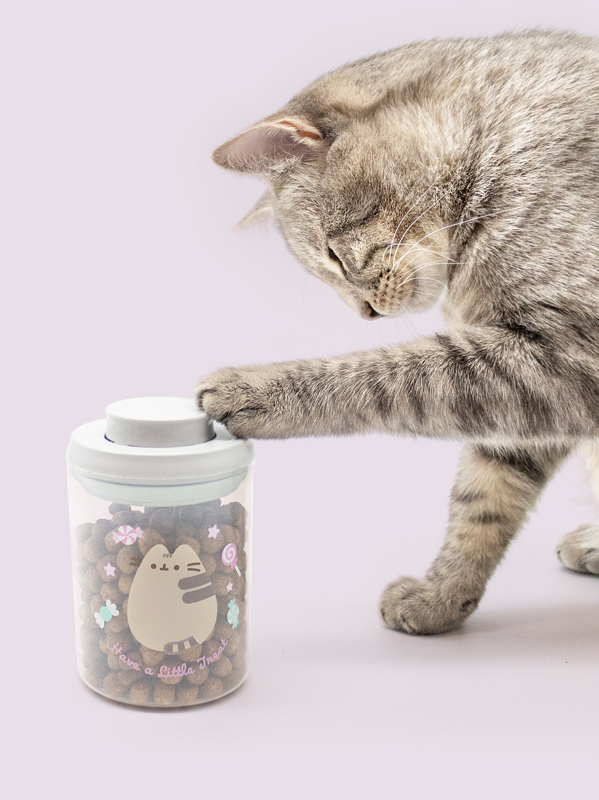 cat placing paw on top of a treat jar with lid and pusheen graphic on it