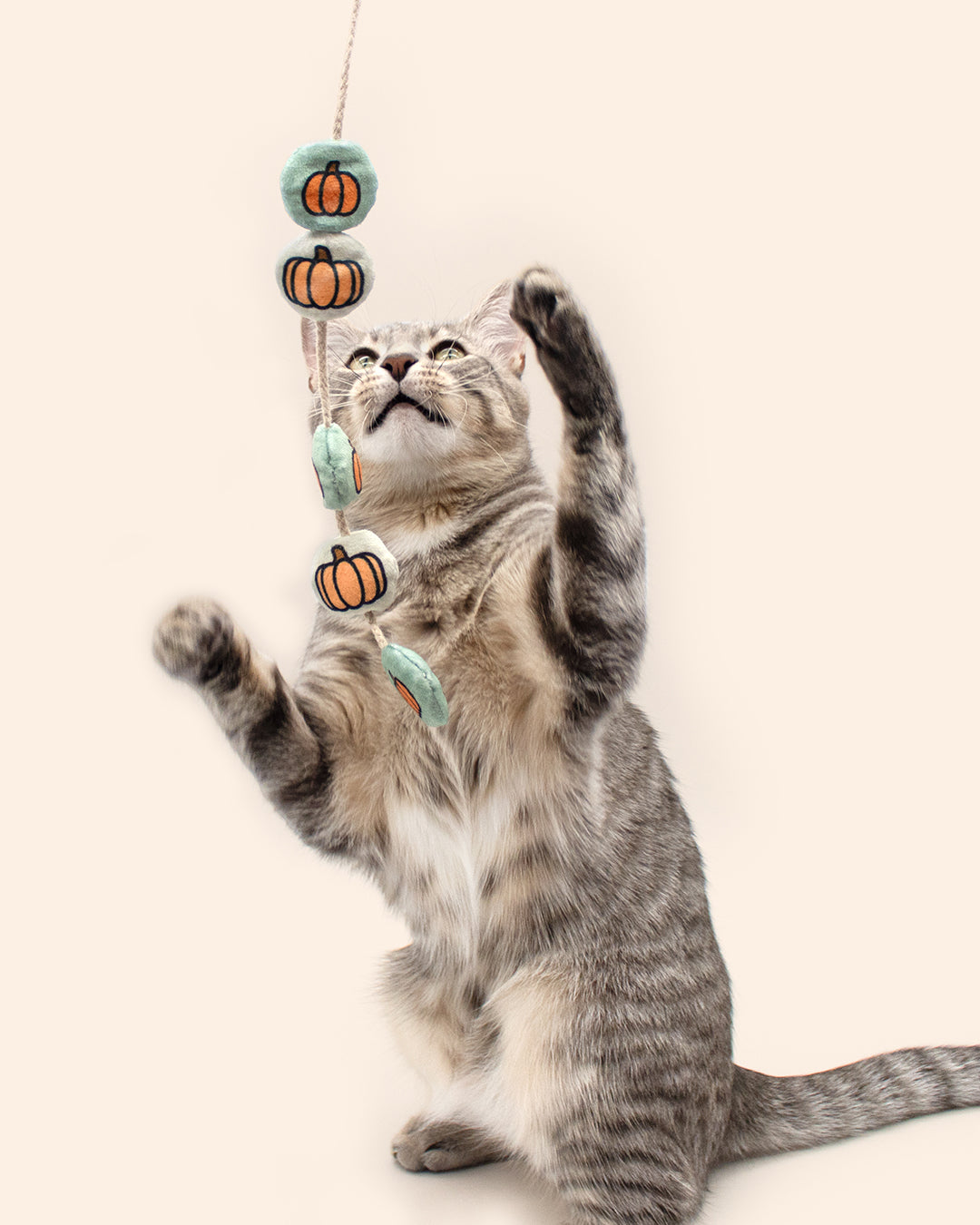 Cat playing with a Halloween-themed cat toy on a white background