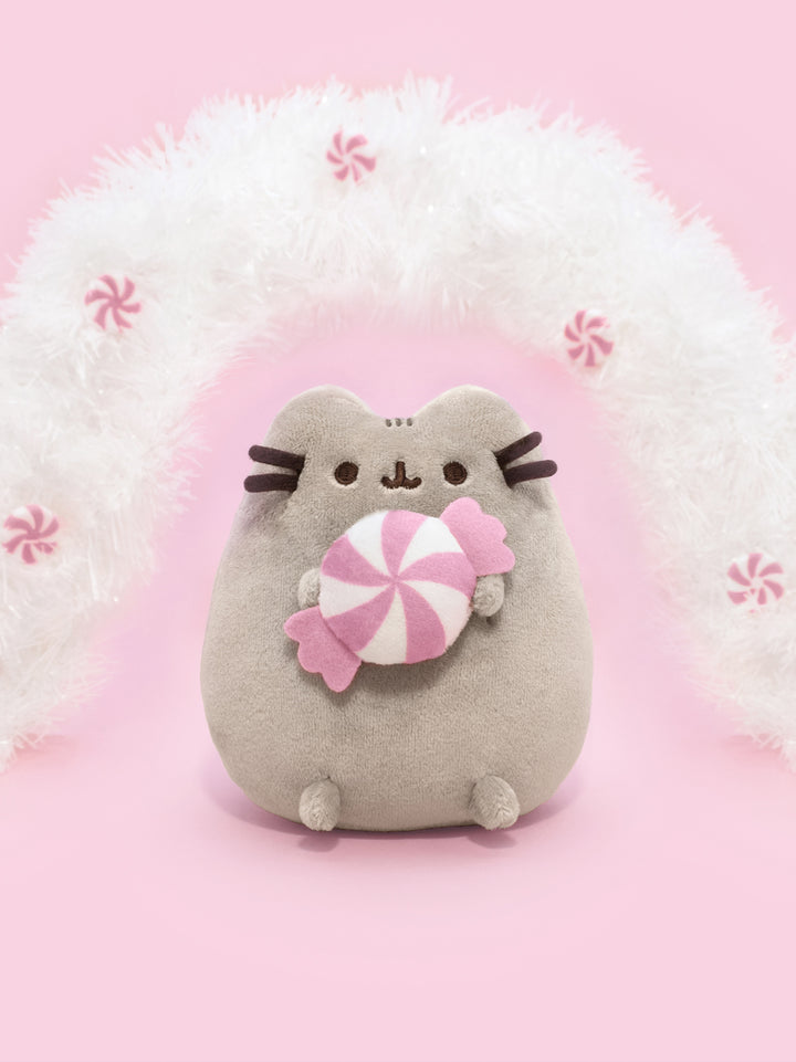pusheen plush holding candy