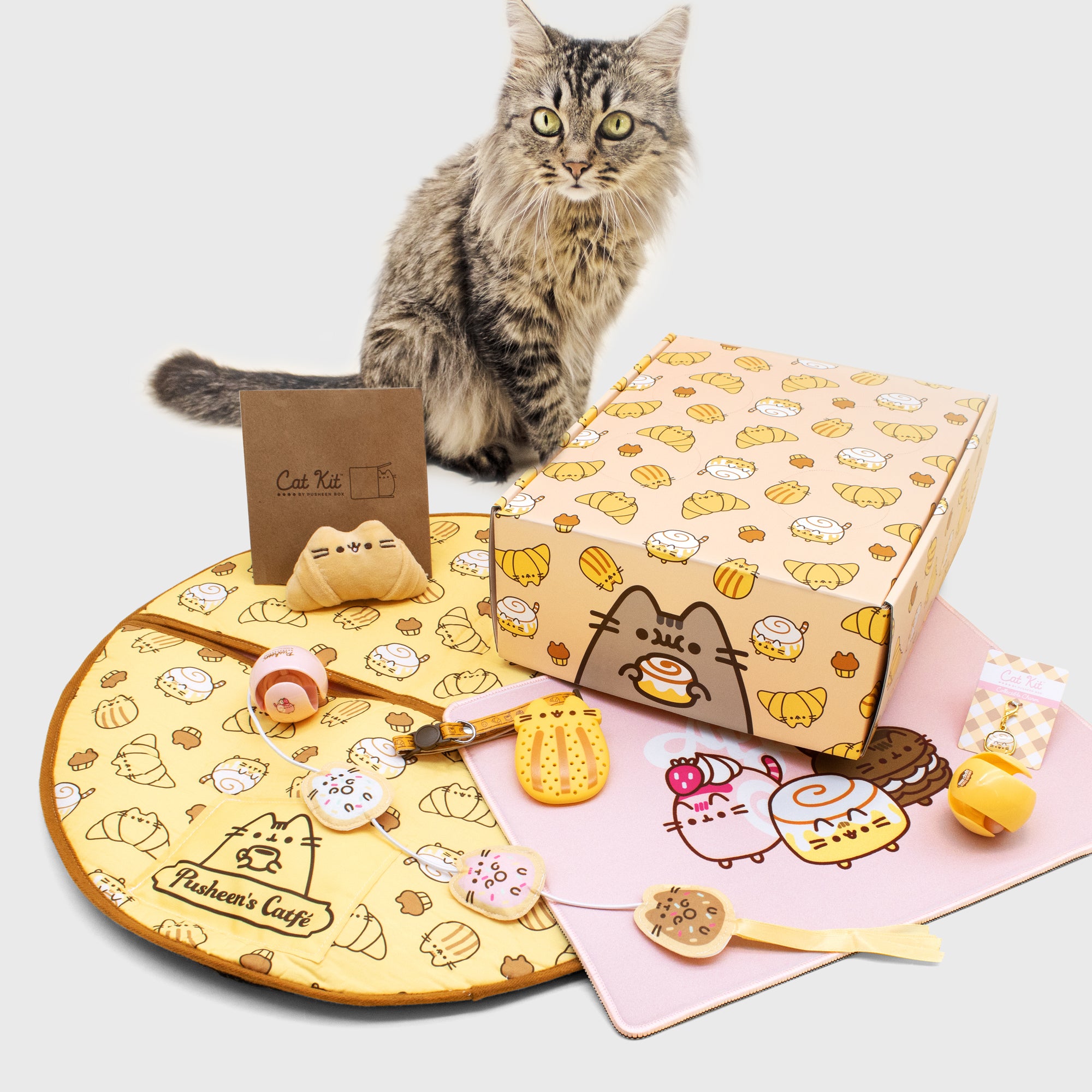 Pusheen hot sale cat supplies