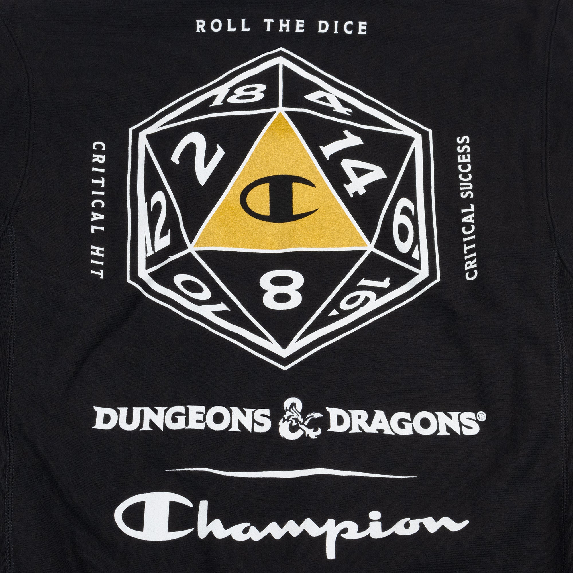 close up of dungeons and dragons back graphic. text: roll the dice critical hit critical success dungeons & dragons champion