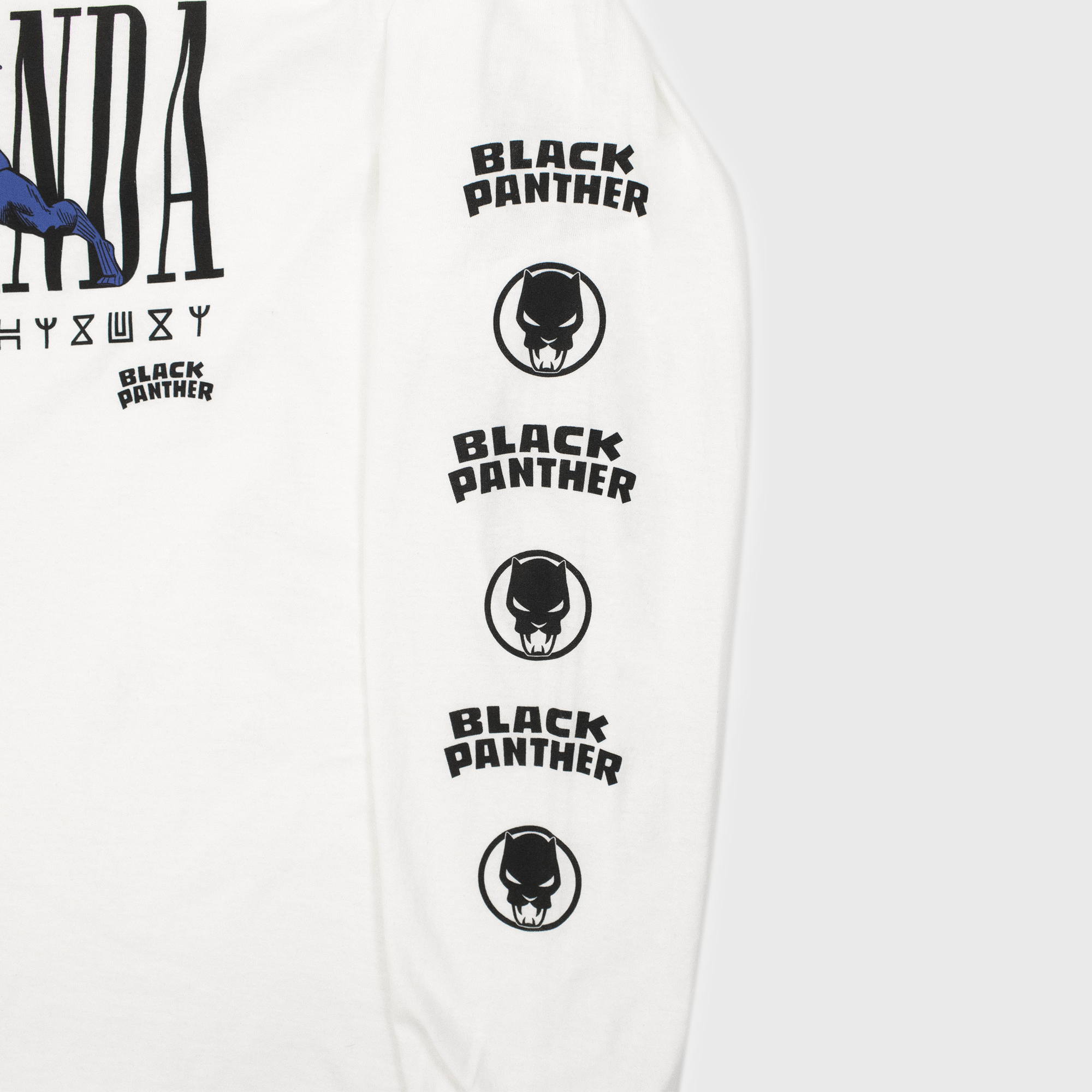 close up of image on sleeve. in black text: black panther. image: black black panther emblem