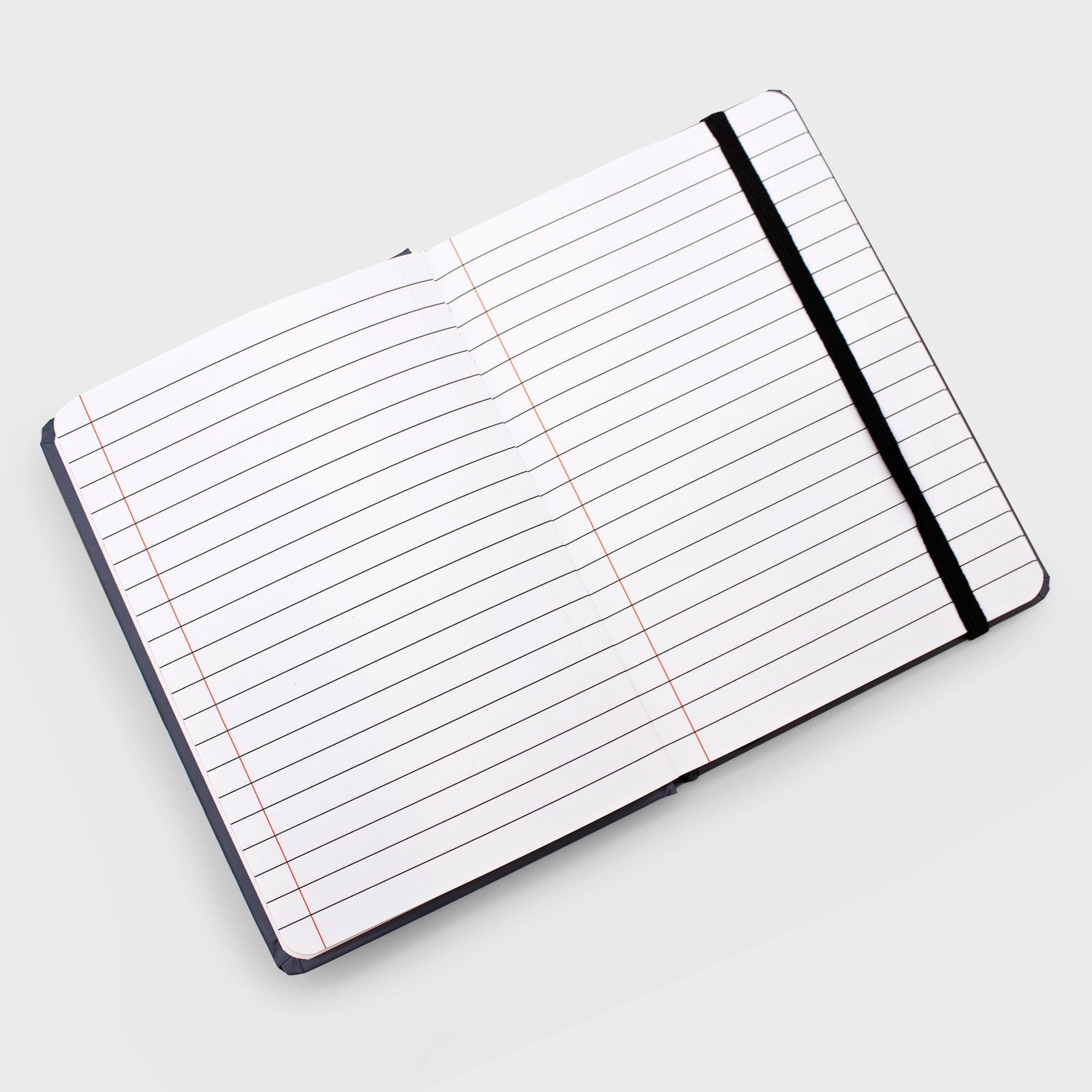 inside of journal. lined book.