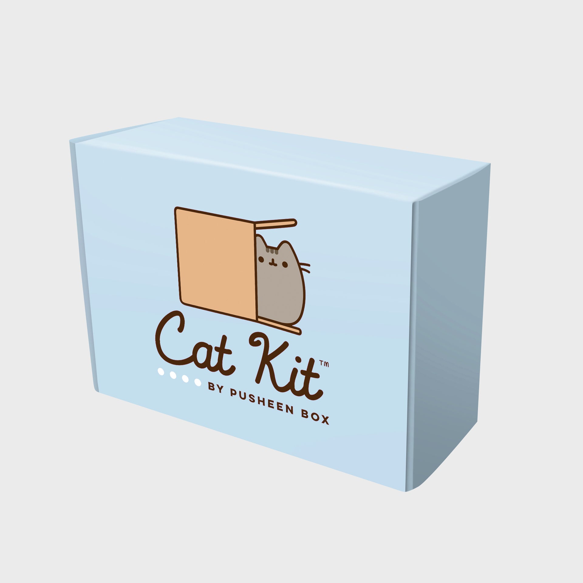 one cat kit box